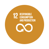 12. Responsible consumption and production